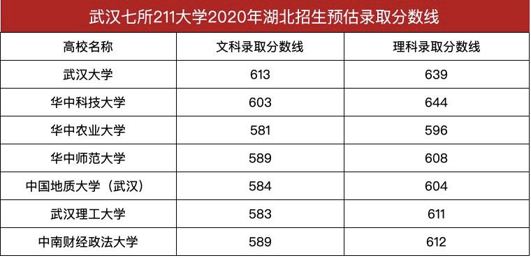 武汉596最新动态，城市脉搏的新跃动