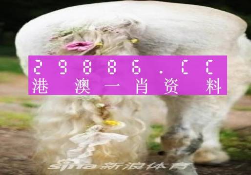 2024澳门必中一肖,精细化策略解析_SE版25.928