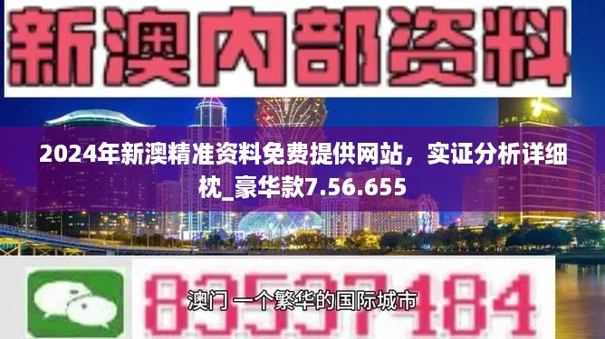 2024年澳门正版免费,专业调查解析说明_超级版69.842