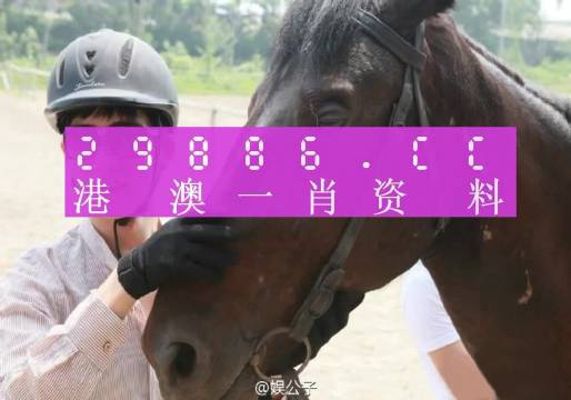 澳门今晚必中一肖一码准确9995,衡量解答解释落实_微型版80.526