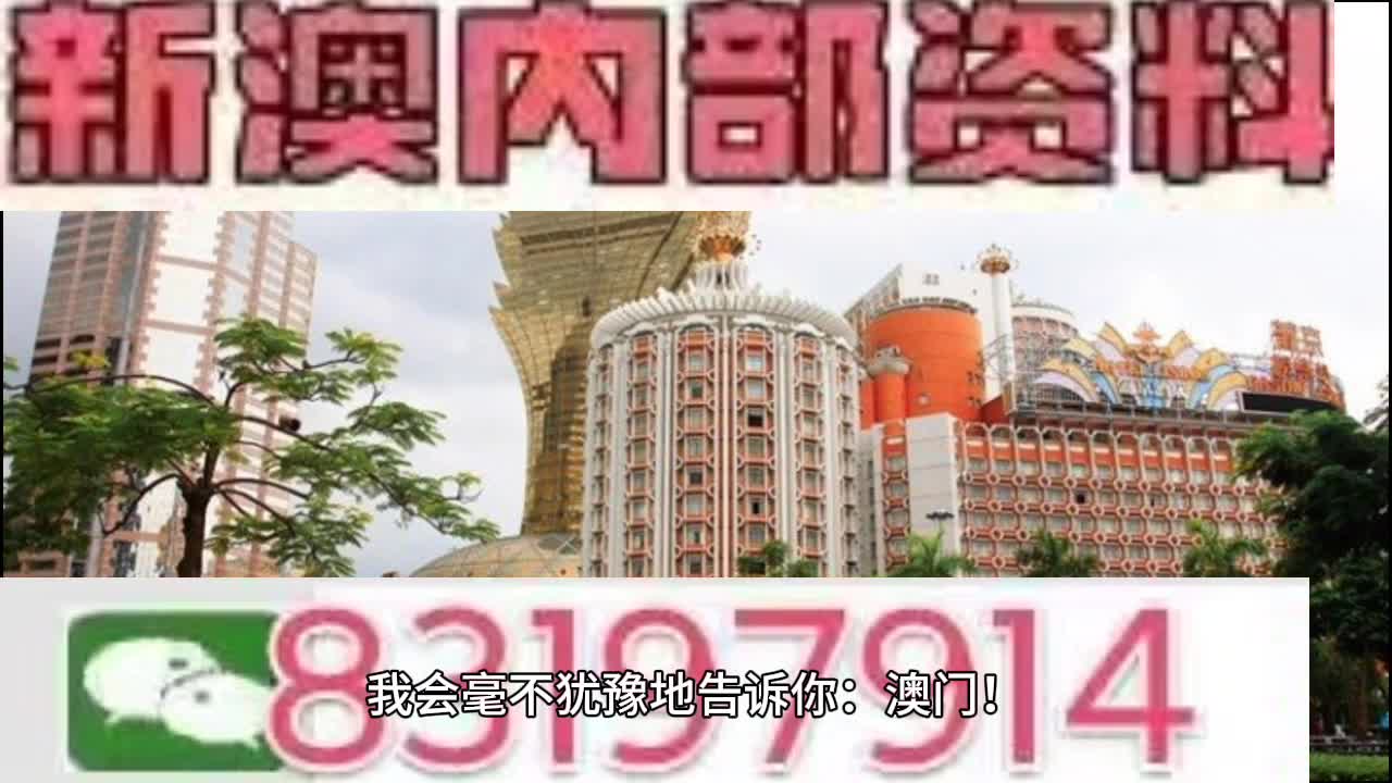 澳门今晚必开一肖一特,专业执行方案_GT46.175