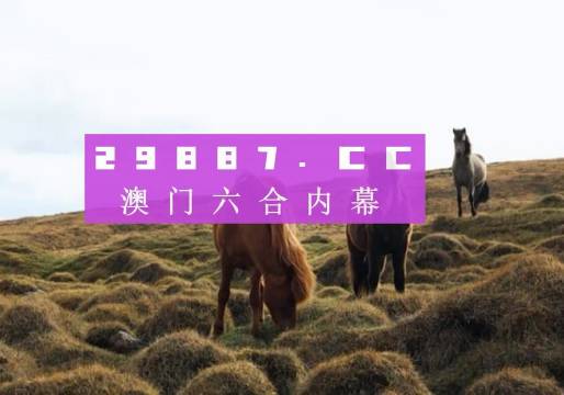 评估咨询 第136页